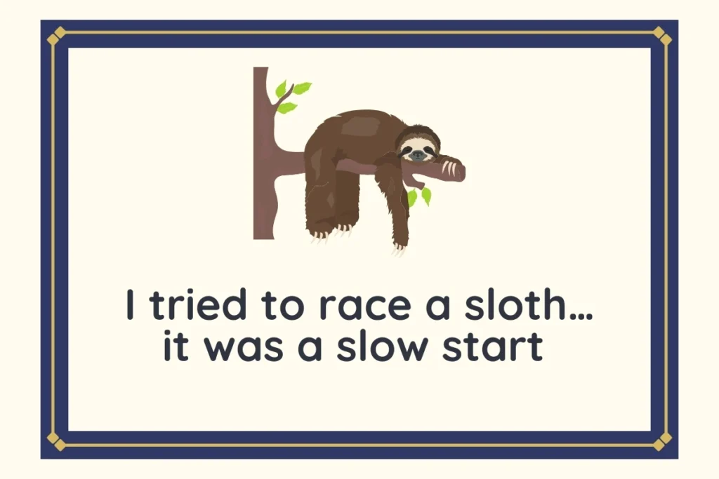 Funny Sloth Puns and Jokes