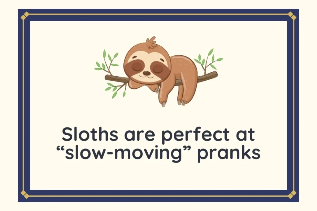 Silly Sloth Puns