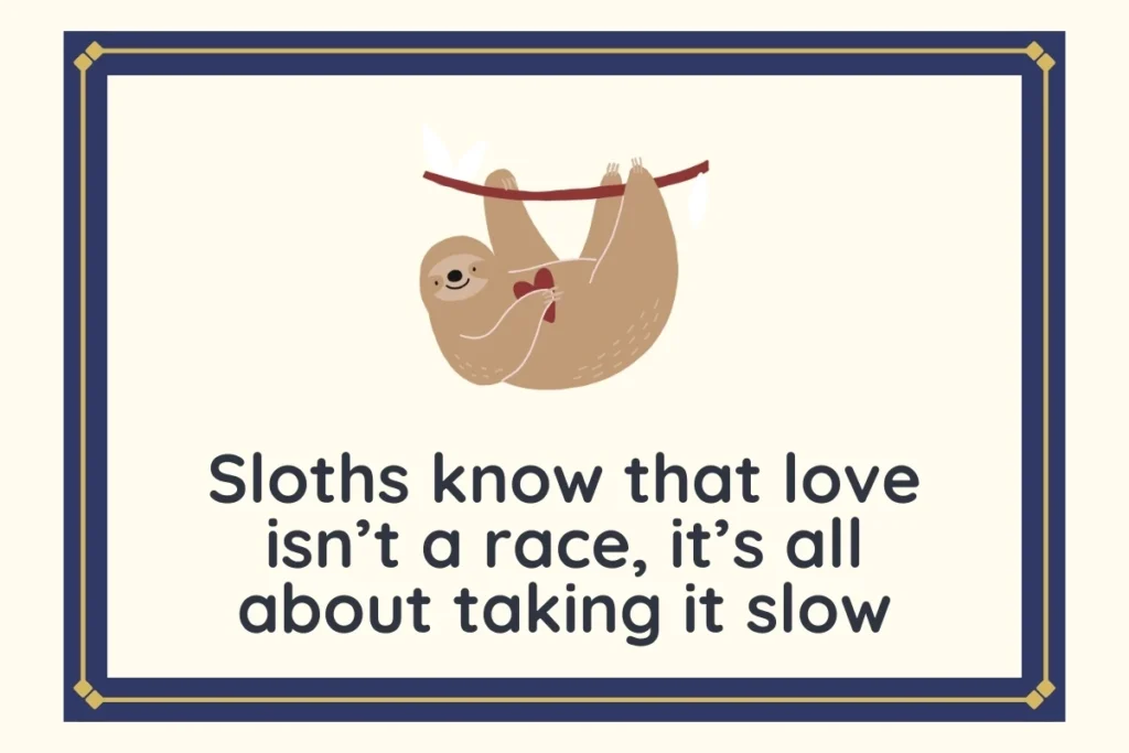 Sloth Puns About Love