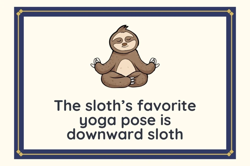 Sloth Puns One Liners