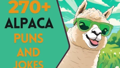 Alpaca Puns & Jokes