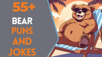 Bear Puns & Jokes