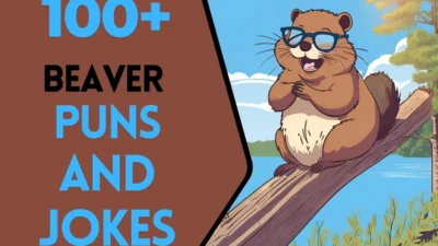 Beaver puns & Jokes