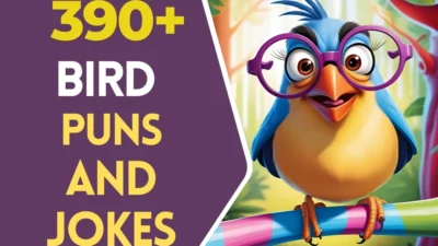 Bird puns & Jokes