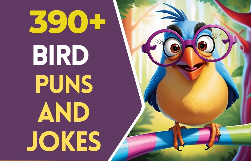 Bird puns & Jokes