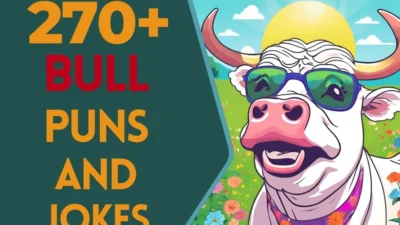 Bull Puns & Jokes
