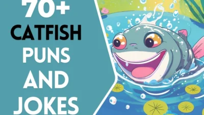 Catfish Puns & Jokes