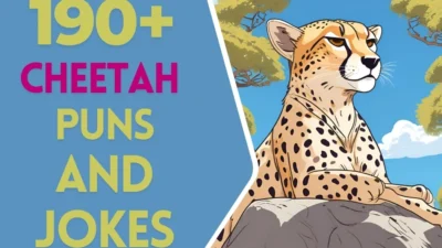 Cheetah Puns & Jokes