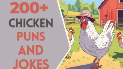 Chicken puns & Jokes