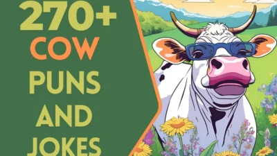 Cow Puns & Jokes