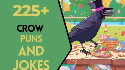 Crow puns & Jokes