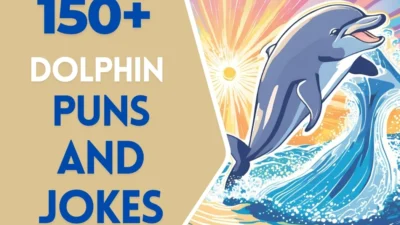 Dolphin puns & Jokes