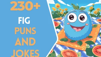Fig puns & Jokes