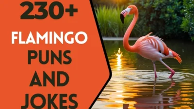 Flamingo puns & Jokes