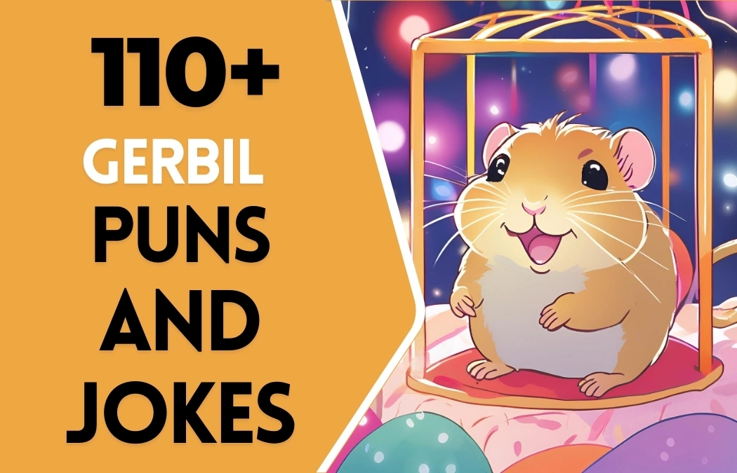 Gerbil puns & Jokes