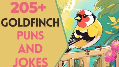 Goldfinch puns & Jokes