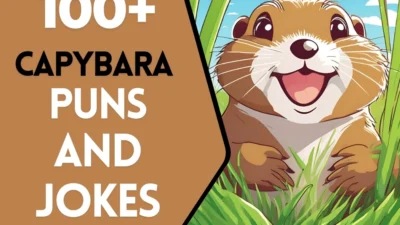 Gopher puns & Jokes