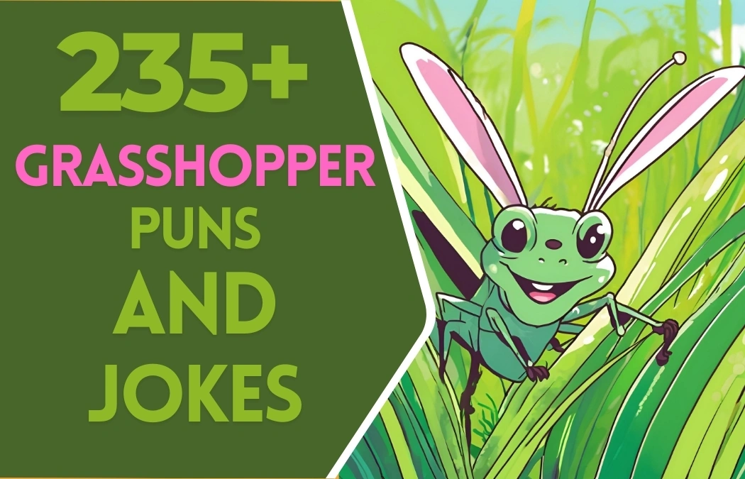 Grasshopper Puns & Jokes