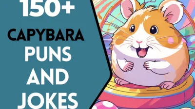 Hamster puns & Jokes