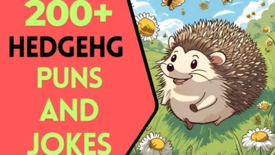 Hedgehog puns & Jokes