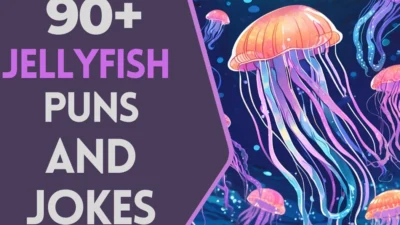 Jellyfish Puns & Jokes