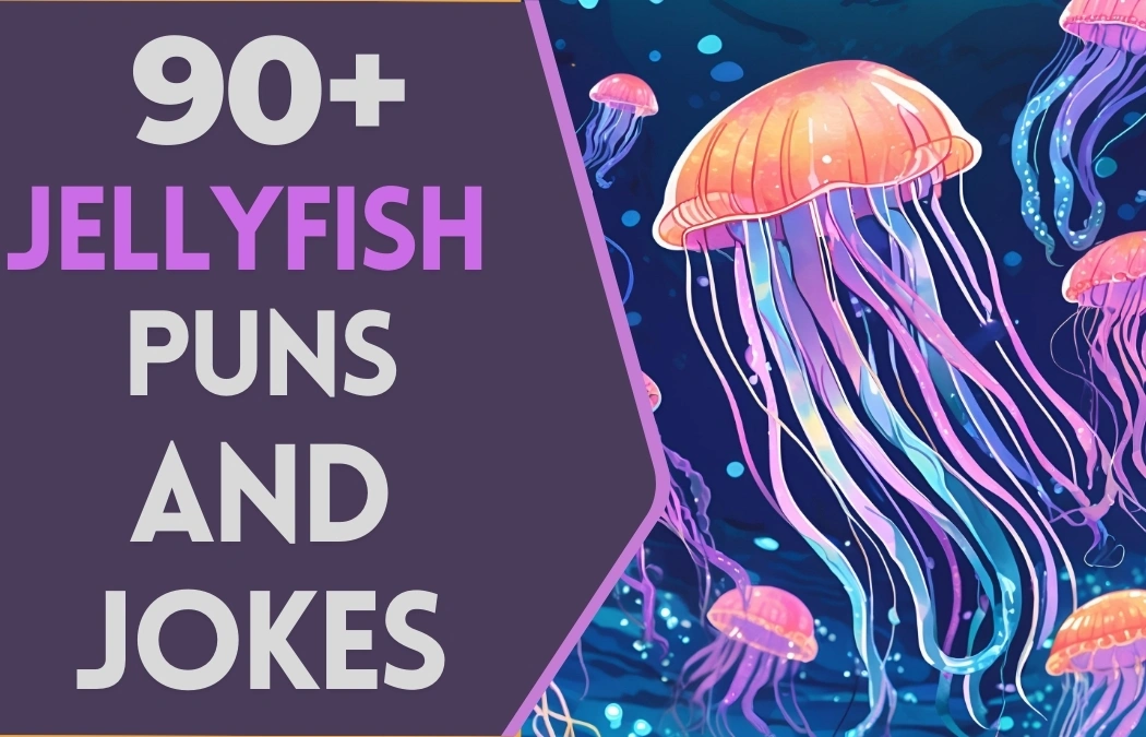 Jellyfish Puns & Jokes