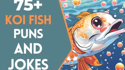 Koi Fish Puns & Jokes