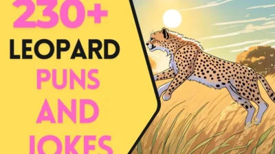 Leopard Puns & Jokes