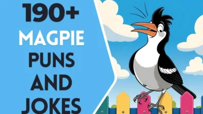 Magpie puns & Jokes