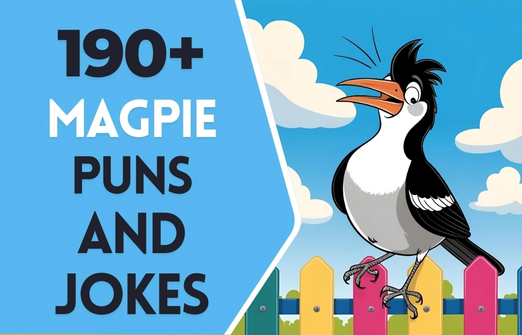 Magpie puns & Jokes