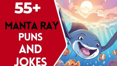 Manta Ray Puns & Jokes