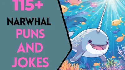 Narwhal puns & Jokes