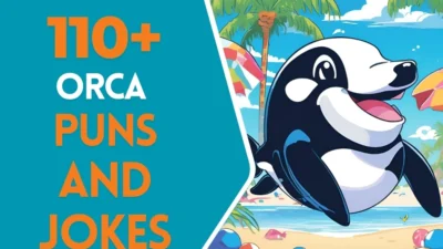 Orca puns & Jokes