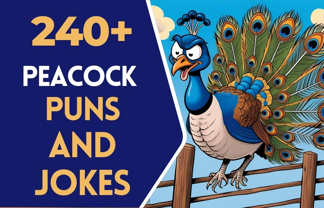 Peacock puns & Jokes