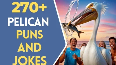 Pelican puns & Jokes