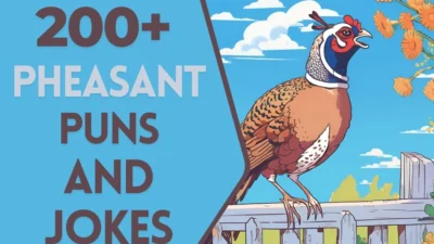 Pheasant puns & Jokes