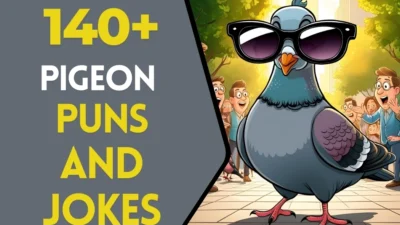 Pigeon puns & Jokes