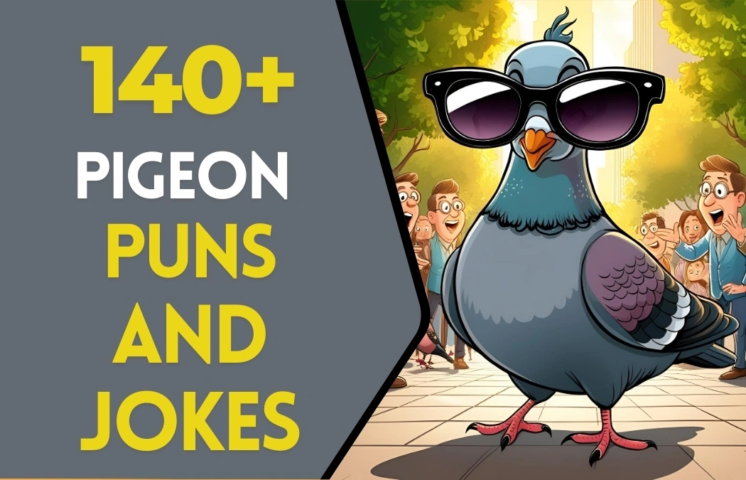 Pigeon puns & Jokes