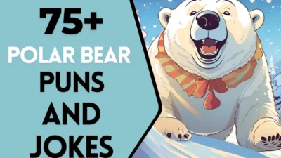 Polar Bear Puns & Jokes