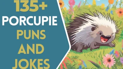 Porcupine puns & Jokes