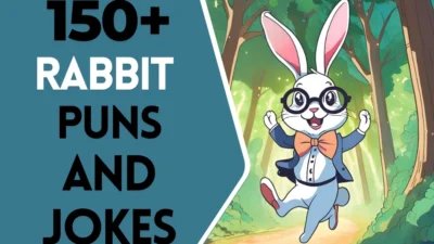 Rabbit puns & Jokes