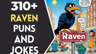 Raven puns & Jokes