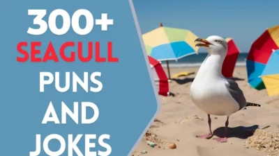 Seagull puns & Jokes
