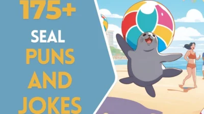 Seal puns & Jokes