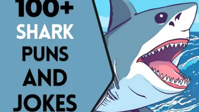 Shark Puns & Jokes