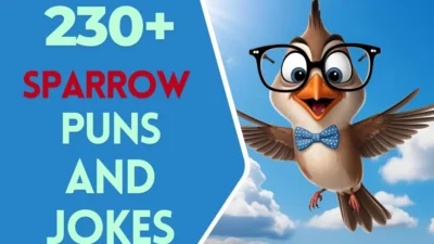 Sparrow puns & Jokes