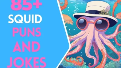 Squid Puns & Jokes