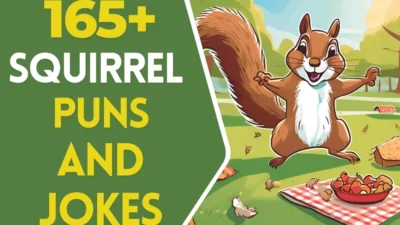 Squirrel puns & Jokes