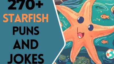 Starfish Puns & Jokes