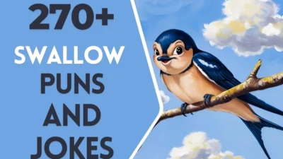 Swallow puns & Jokes